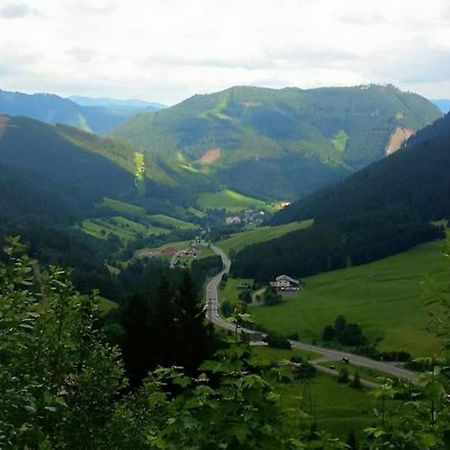 Charmante Ferienwohnung In Vordernberg - Alpenidylle Pur Ngoại thất bức ảnh